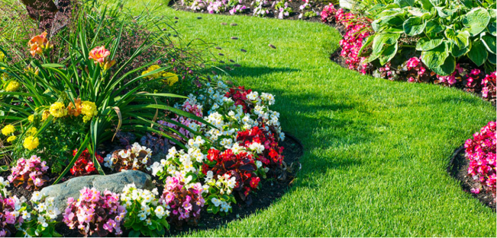 Création et aménagement de jardin Jouque
