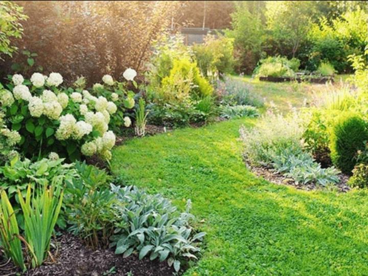Création et aménagement de jardin, Rians