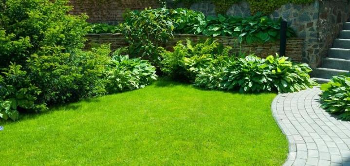 Conception, création et aménagement de jardins à Jouques